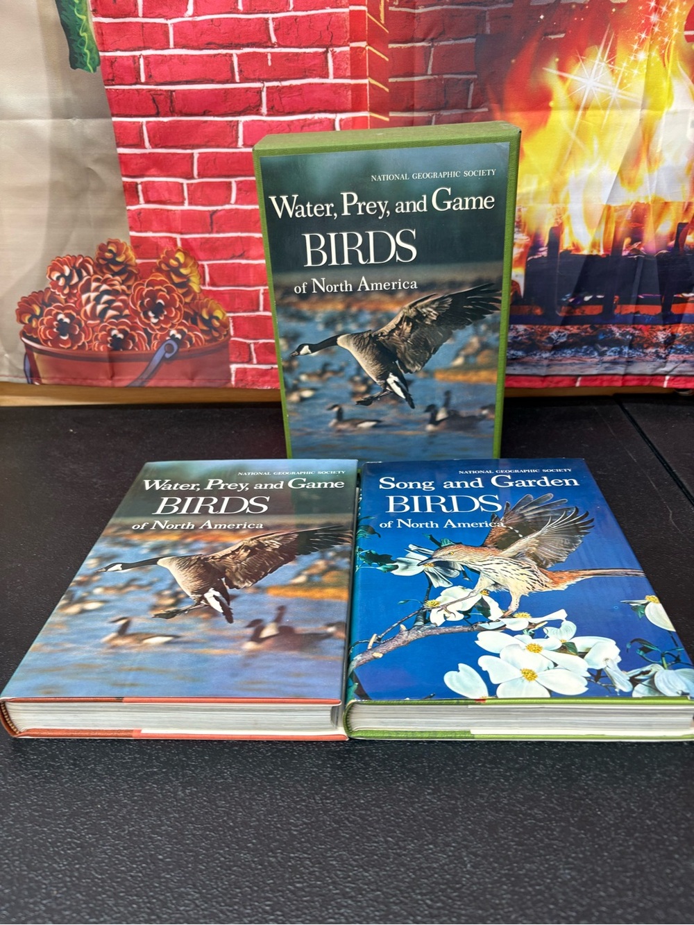 1964 National Geographic Song & garden birds box book set